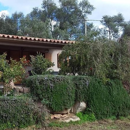Casa-Lesia Villa Porto-Vecchio  Exterior foto